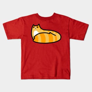 Fluffy Tabby Kids T-Shirt